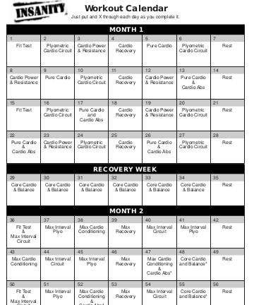 insanity workout download free